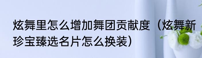 炫舞里怎么增加舞团贡献度（炫舞新珍宝臻选名片怎么换装）