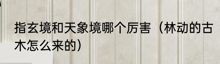 指玄境和天象境哪个厉害（林动的古木怎么来的）