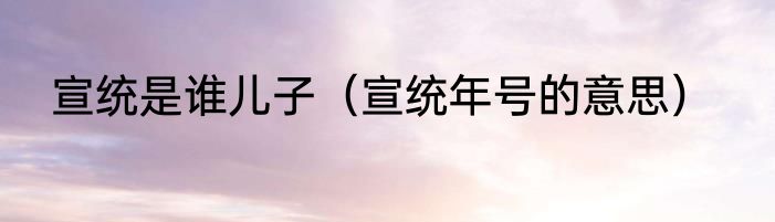 宣统是谁儿子（宣统年号的意思）