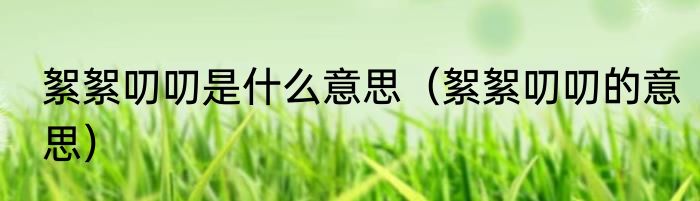 絮絮叨叨是什么意思（絮絮叨叨的意思）