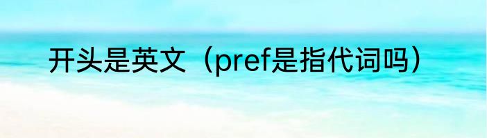 开头是英文（pref是指代词吗）