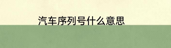 汽车序列号什么意思