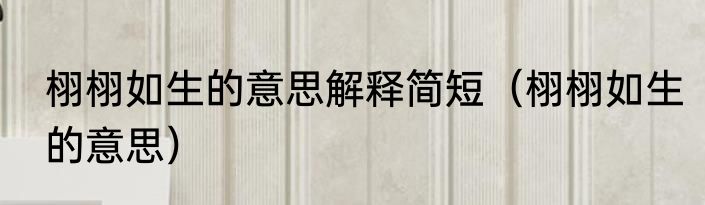 栩栩如生的意思解释简短（栩栩如生的意思）