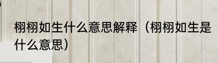 栩栩如生什么意思解释（栩栩如生是什么意思）