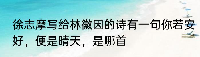 徐志摩写给林徽因的诗有一句你若安好，便是晴天，是哪首