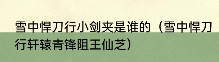 雪中悍刀行小剑夹是谁的（雪中悍刀行轩辕青锋阻王仙芝）