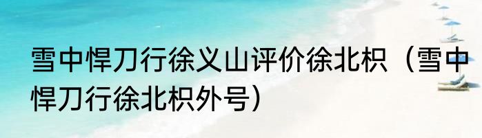 雪中悍刀行徐义山评价徐北枳（雪中悍刀行徐北枳外号）