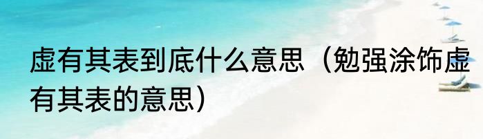 虚有其表到底什么意思（勉强涂饰虚有其表的意思）