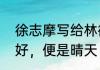 徐志摩写给林徽因的诗有一句你若安好，便是晴天，是哪首