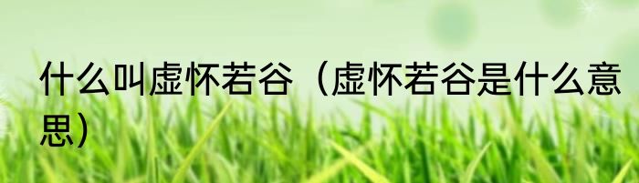 什么叫虚怀若谷（虚怀若谷是什么意思）