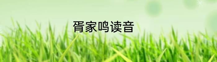 胥家鸣读音