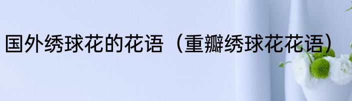 国外绣球花的花语（重瓣绣球花花语）