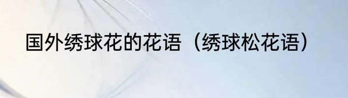 国外绣球花的花语（绣球松花语）