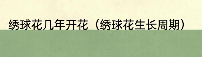 绣球花几年开花（绣球花生长周期）