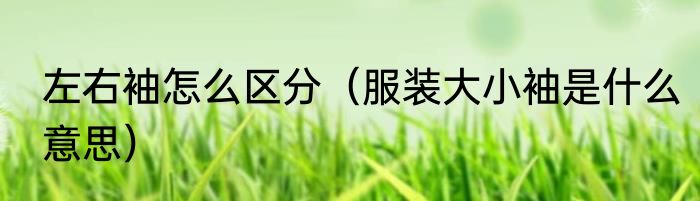 左右袖怎么区分（服装大小袖是什么意思）