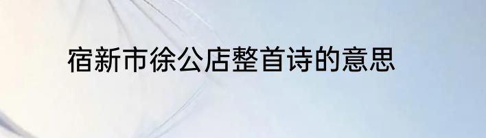 宿新市徐公店整首诗的意思