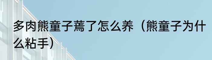 多肉熊童子蔫了怎么养（熊童子为什么粘手）