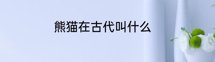 熊猫在古代叫什么