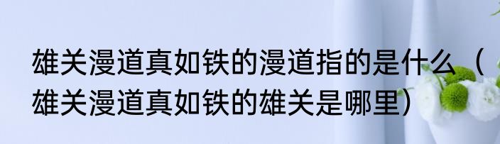 雄关漫道真如铁的漫道指的是什么（雄关漫道真如铁的雄关是哪里）
