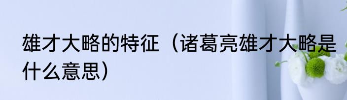 雄才大略的特征（诸葛亮雄才大略是什么意思）