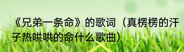 《兄弟一条命》的歌词（真楞楞的汗子热哄哄的命什么歌曲）