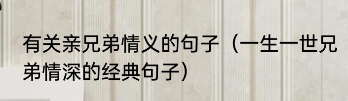 有关亲兄弟情义的句子（一生一世兄弟情深的经典句子）