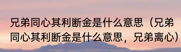 兄弟同心其利断金是什么意思（兄弟同心其利断金是什么意思，兄弟离心）