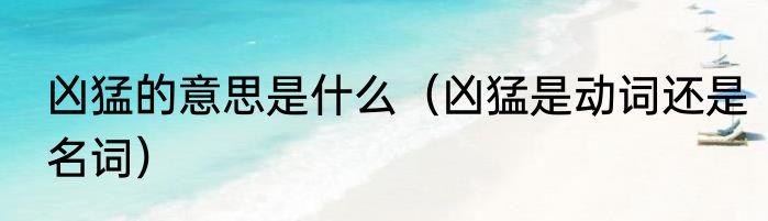 凶猛的意思是什么（凶猛是动词还是名词）