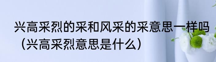 兴高采烈的采和风采的采意思一样吗（兴高采烈意思是什么）