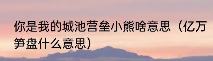 你是我的城池营垒小熊啥意思（亿万笋盘什么意思）