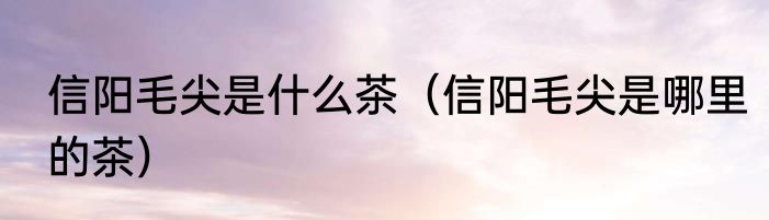 信阳毛尖是什么茶（信阳毛尖是哪里的茶）