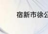 宿新市徐公店整首诗的意思
