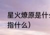 星火燎原是什么思想（星火燎原的火指什么）