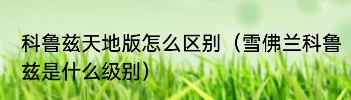 科鲁兹天地版怎么区别（雪佛兰科鲁兹是什么级别）