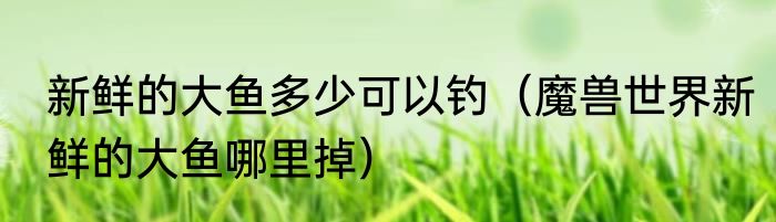 新鲜的大鱼多少可以钓（魔兽世界新鲜的大鱼哪里掉）