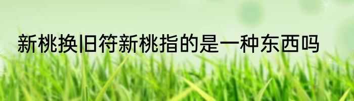 新桃换旧符新桃指的是一种东西吗