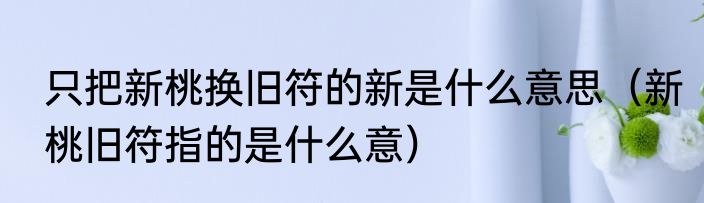 只把新桃换旧符的新是什么意思（新桃旧符指的是什么意）