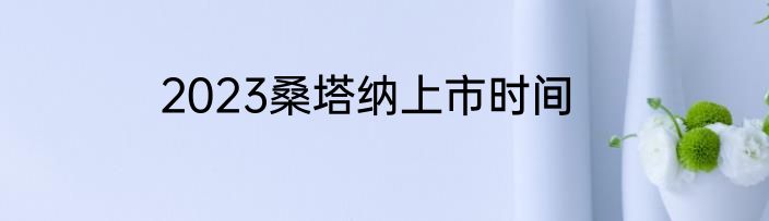 2023桑塔纳上市时间
