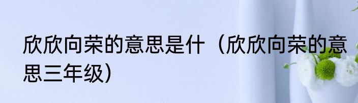 欣欣向荣的意思是什（欣欣向荣的意思三年级）