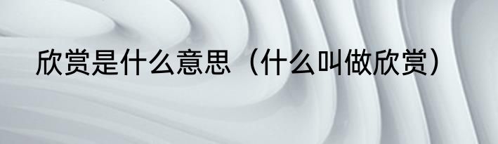 欣赏是什么意思（什么叫做欣赏）