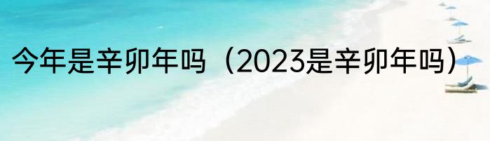 今年是辛卯年吗（2023是辛卯年吗）