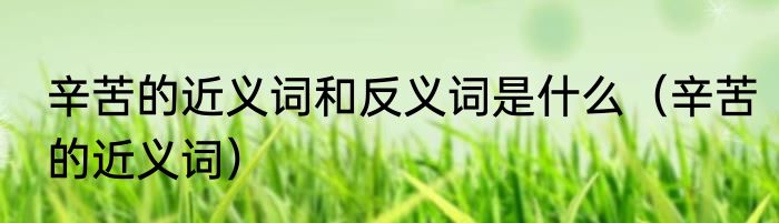 辛苦的近义词和反义词是什么（辛苦的近义词）