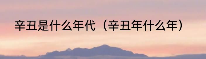 辛丑是什么年代（辛丑年什么年）