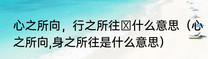 心之所向，行之所往️什么意思（心之所向,身之所往是什么意思）