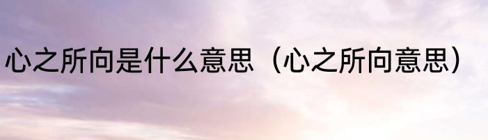心之所向是什么意思（心之所向意思）