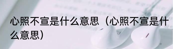 心照不宣是什么意思（心照不宣是什么意思）