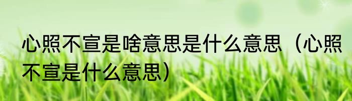 心照不宣是啥意思是什么意思（心照不宣是什么意思）