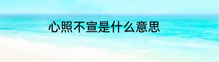 心照不宣是什么意思