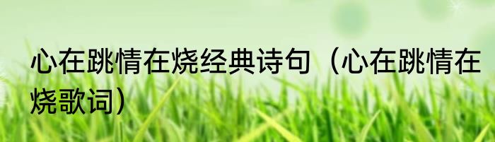心在跳情在烧经典诗句（心在跳情在烧歌词）