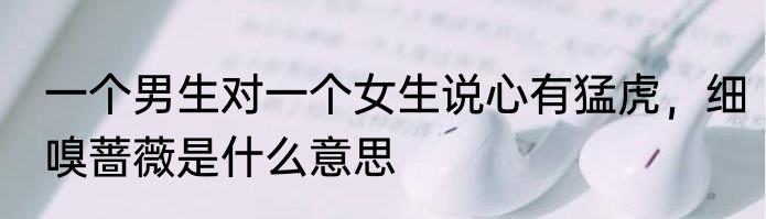 一个男生对一个女生说心有猛虎，细嗅蔷薇是什么意思